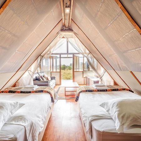 Buffelshoek Tented Camp Manyeleti Game Reserve Exterior photo