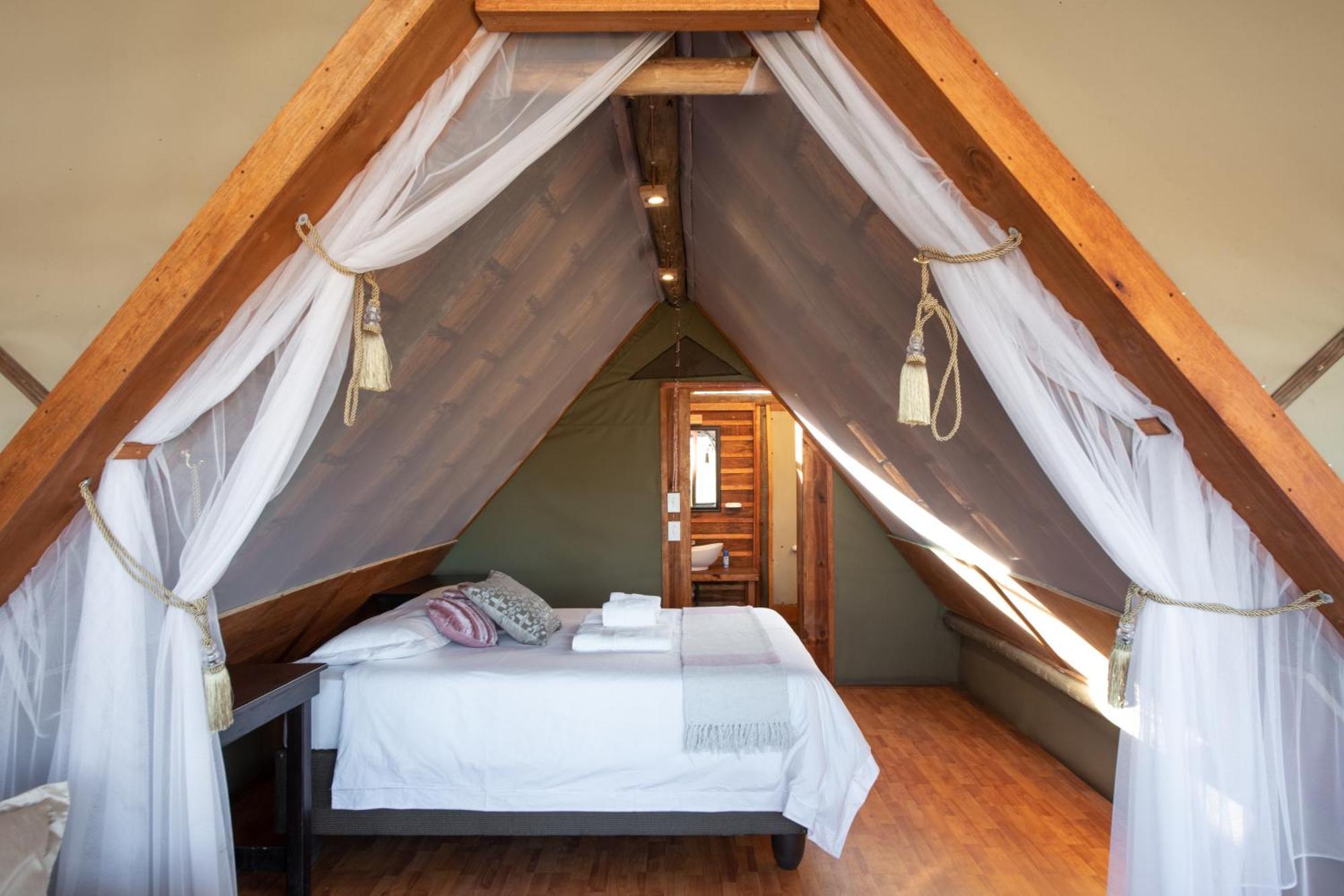 Buffelshoek Tented Camp Manyeleti Game Reserve Room photo