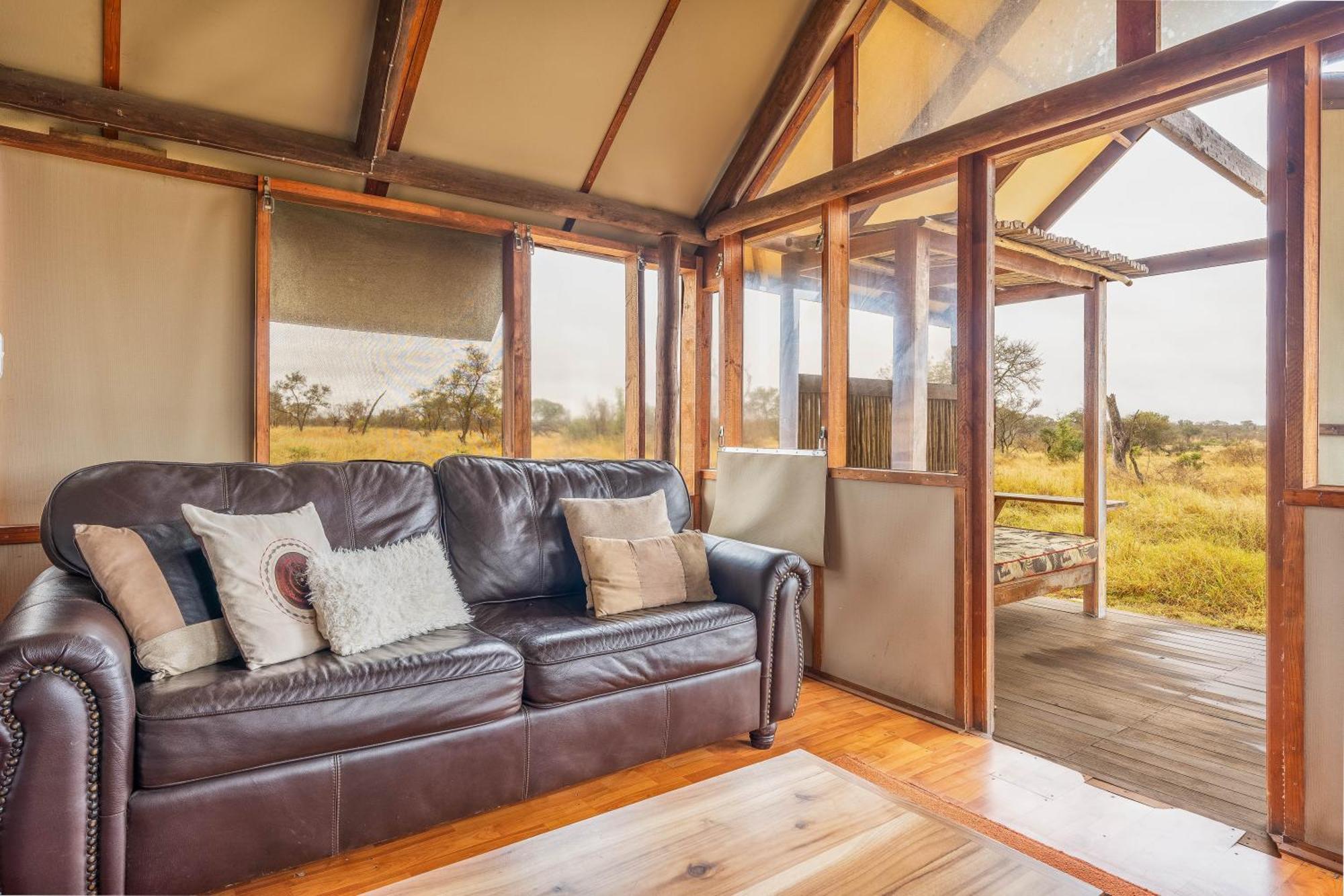 Buffelshoek Tented Camp Manyeleti Game Reserve Room photo