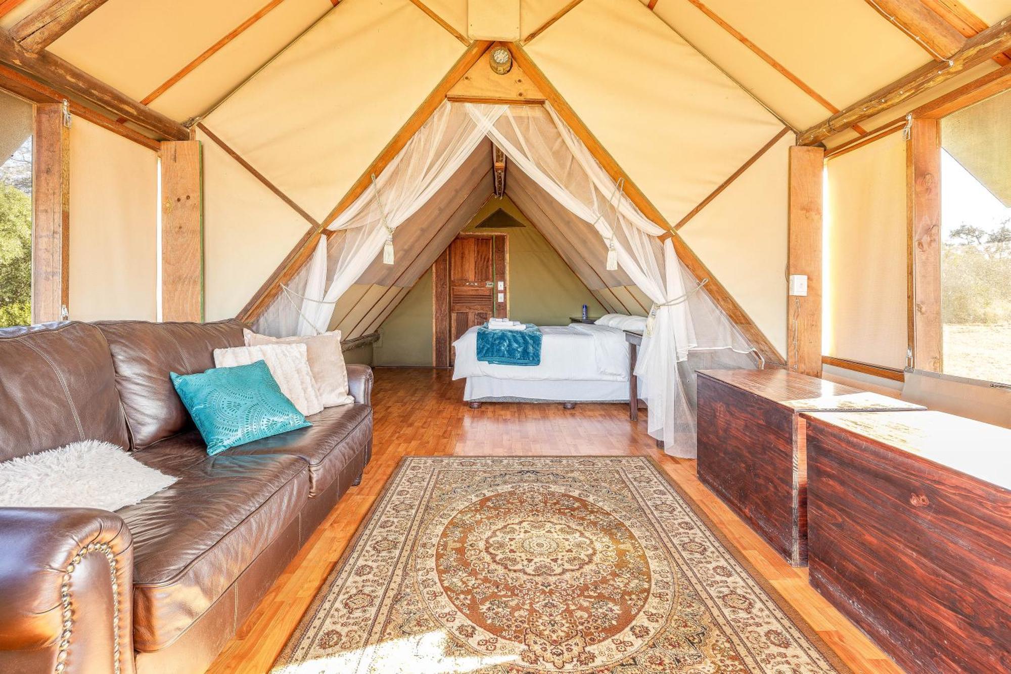 Buffelshoek Tented Camp Manyeleti Game Reserve Exterior photo