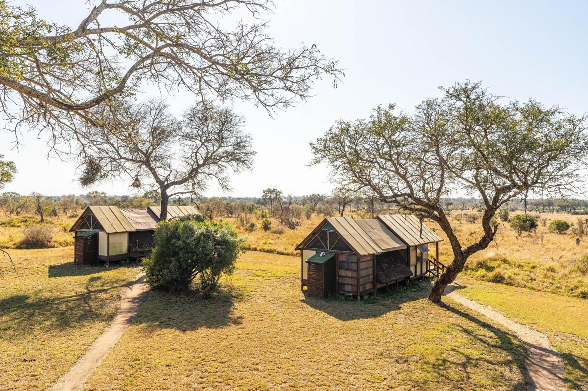 Buffelshoek Tented Camp Manyeleti Game Reserve Room photo