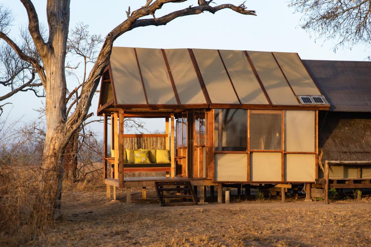 Buffelshoek Tented Camp Manyeleti Game Reserve Exterior photo