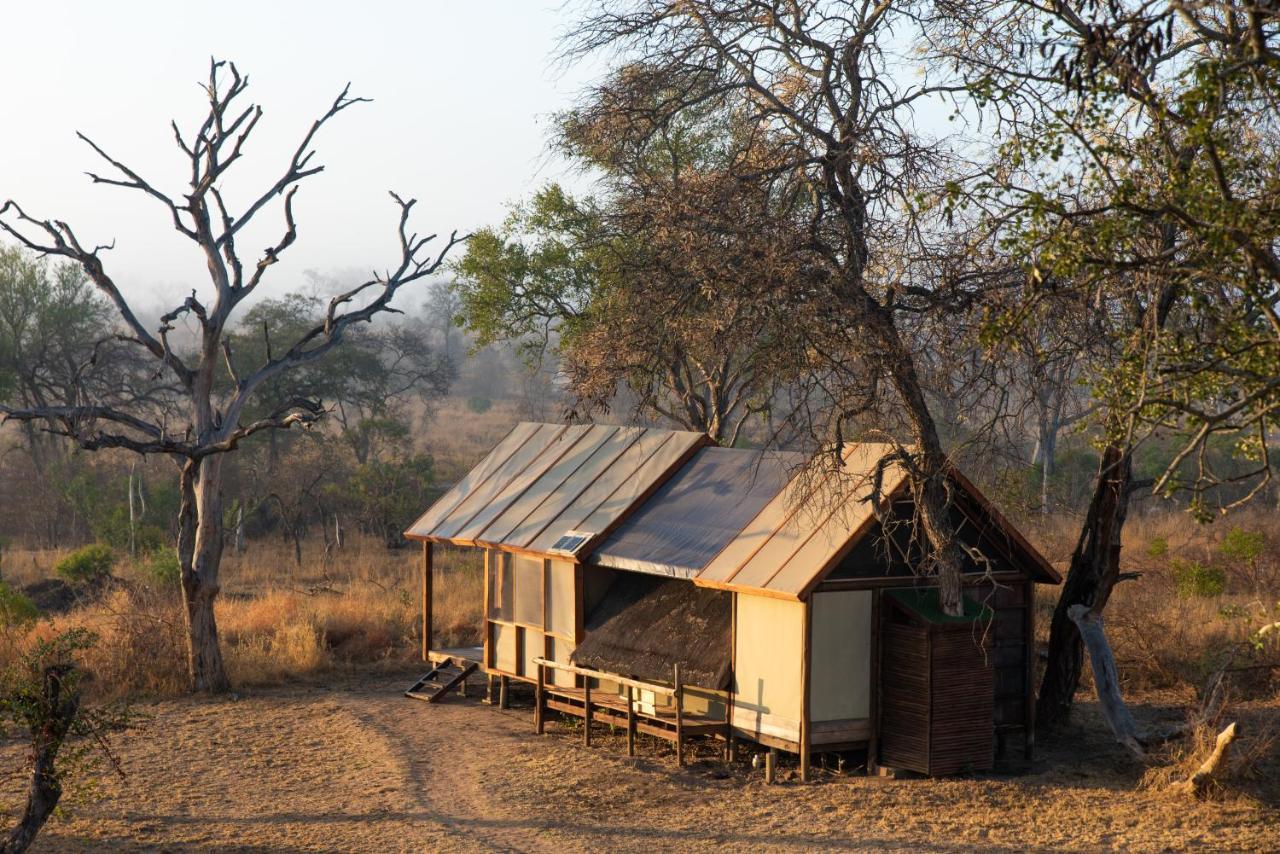 Buffelshoek Tented Camp Manyeleti Game Reserve Exterior photo