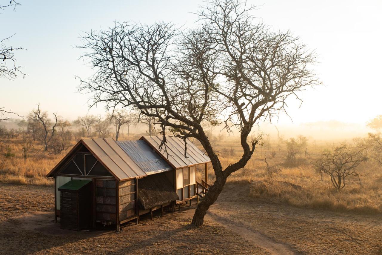 Buffelshoek Tented Camp Manyeleti Game Reserve Exterior photo