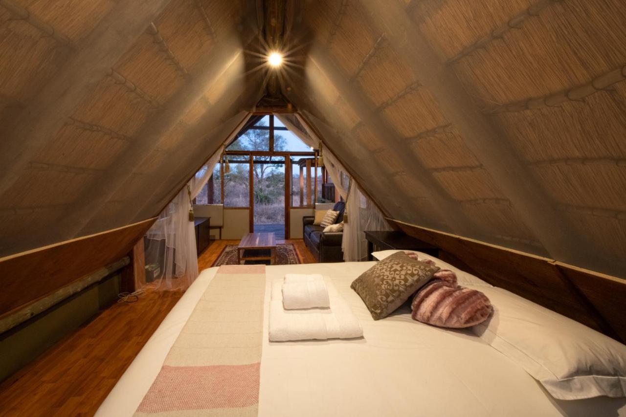 Buffelshoek Tented Camp Manyeleti Game Reserve Exterior photo